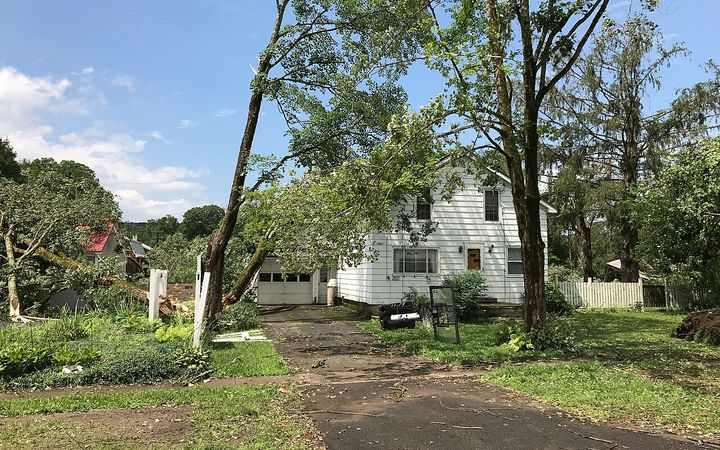 Storm-broken trees leaning over a white house and its driveway
