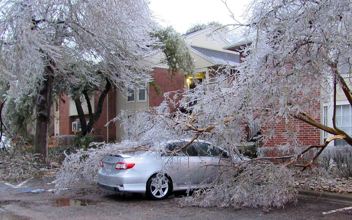 Ice-coated tree limbs collapsed onto a car in front of a brick house
