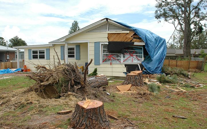 Cut stumps and a dug-out root plate in a yard in front of a storm-damaged house